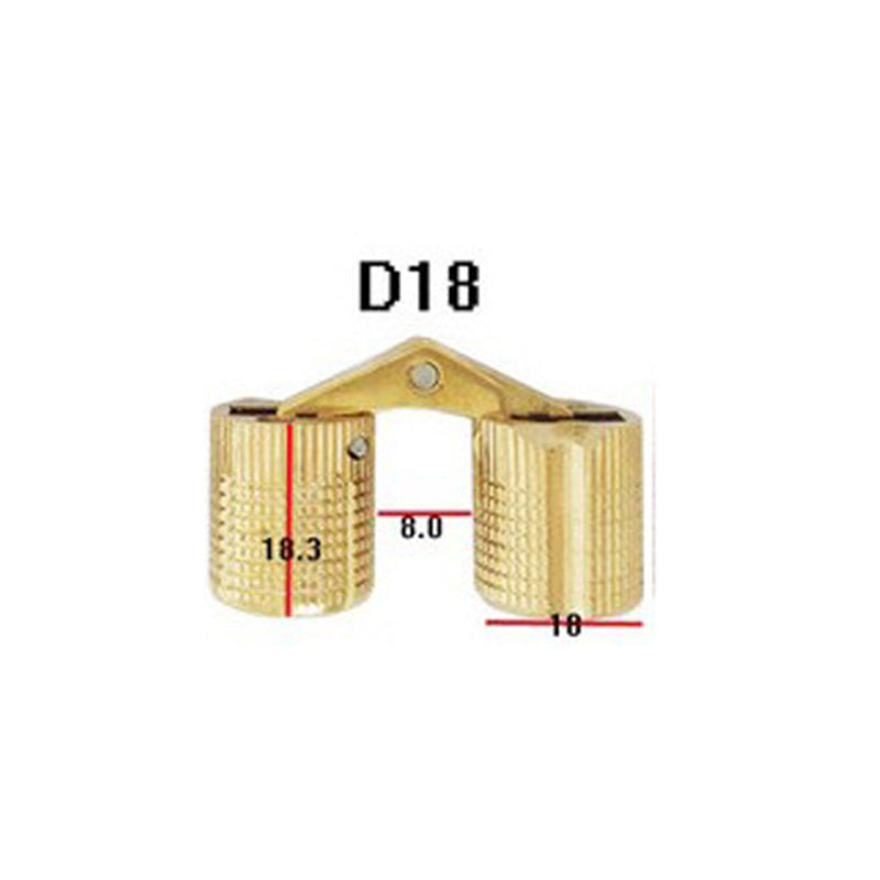 Concealed Brass Hinges